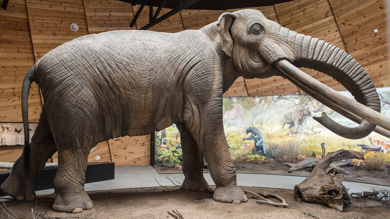 Mastodon on AWS