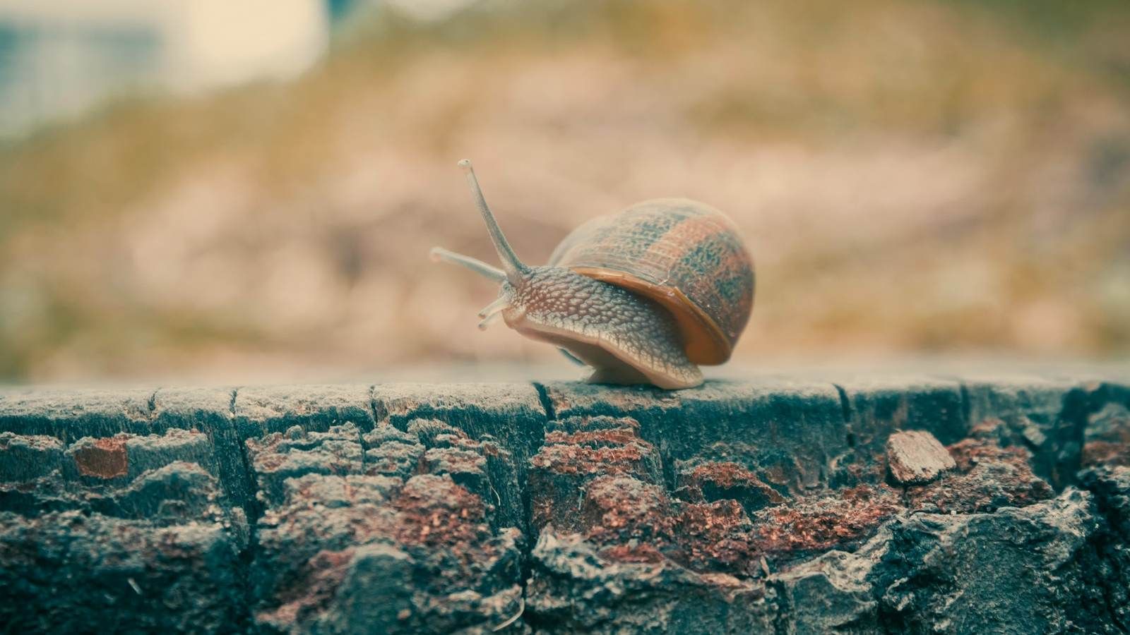VPC Endpoint increases DynamoDB latency by 30%