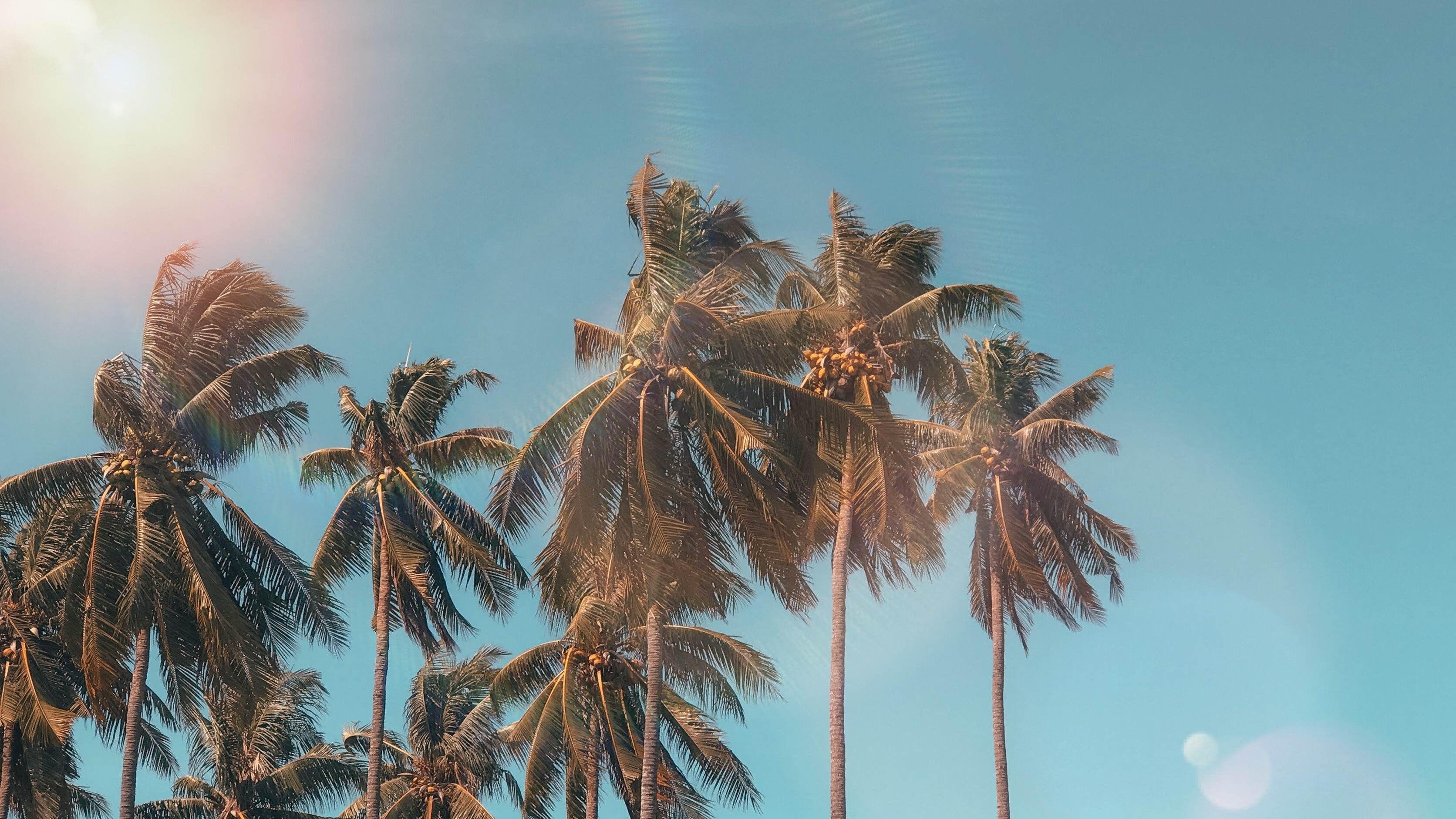 School's Out For Summer