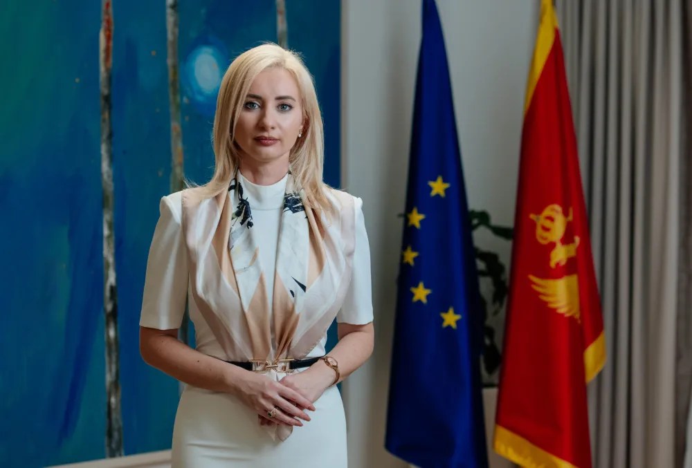 Gorčević: Realno očekivati da zatvorimo poglavlja 18 i 19 prije oktobarske Međuvladine konferencije