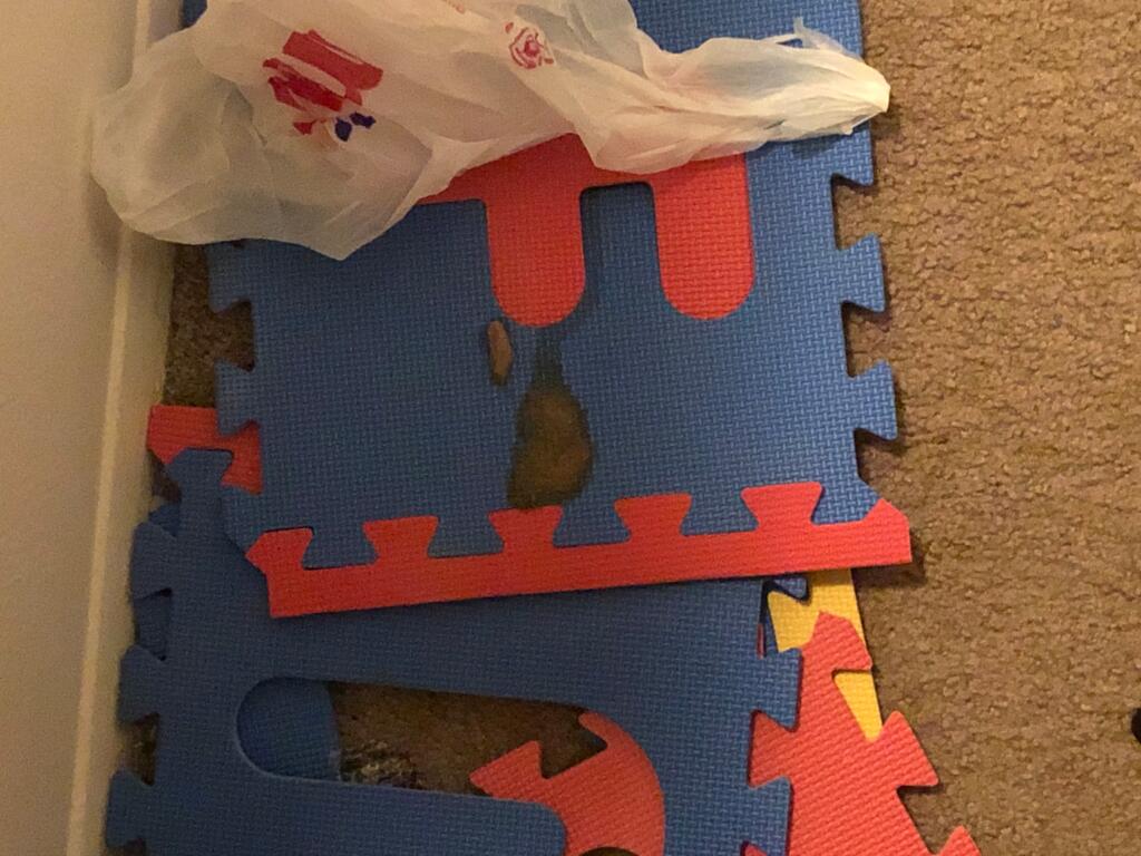 Parasites are the most common cause of bloody stool in puppies and kittens. my 3 year old cat has been throwing up solid light brown