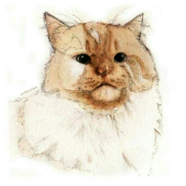Jual Lukisan Tangan A5 : Hewan Peliharaan (Gambar Sketsa Kucing, Anjing, Binatang, Watercolor, Pajangan) Indonesia|Shopee Indonesia 640_X_640_jpg