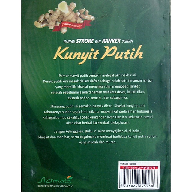 Buku Hantam Stroke Dan Kanker Dengan Kunyit Putih Oleh Soedarso