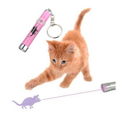 Unduh Gratis Gambar Animasi Edukasi Cara Merawat Kucing Untuk Adopter Pemula Terbaru oleh Lampunghits.com