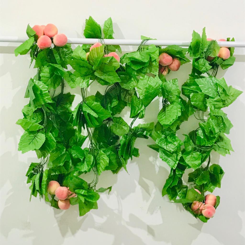 Morfologi bunga kertas · 1. 20+ Gambar Daun Menjalar Kartun - Kumpulan Gambar Kartun