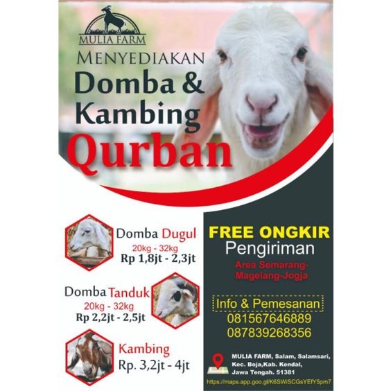 Jual Produk Qurban Termurah Dan Terlengkap September 2021 Halaman 8 