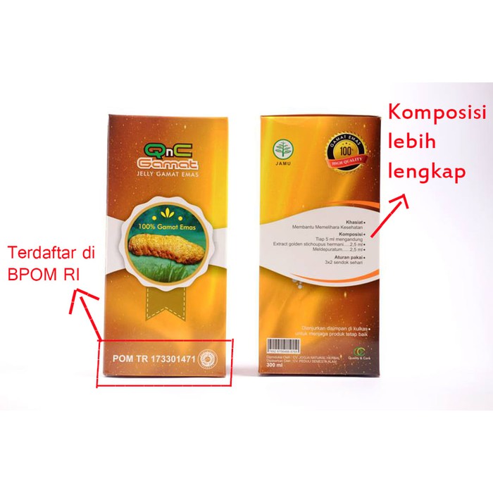 Paling Banyak Dicari Obat Gendang Telinga Pecah Bernanah