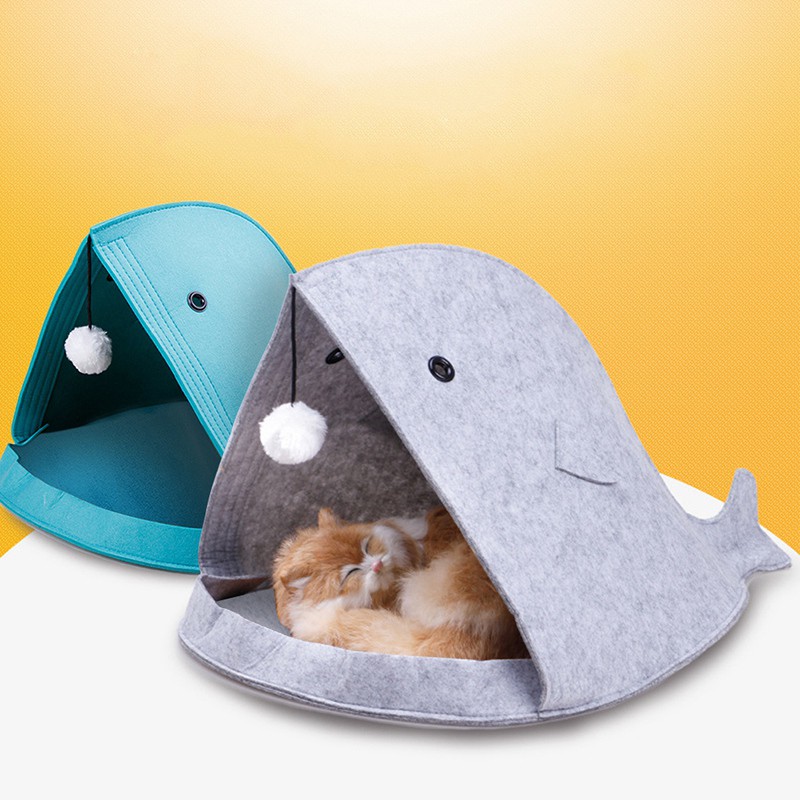 Gratis Unduh Gambar Mengemaskan Kucing Tidur Begitu Lucu Sekali Youtube Terupdate by Lampunghits.com