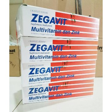 Suplemen Zinc 