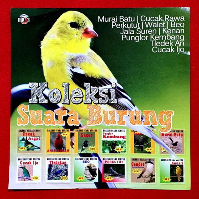 Jual KASET MP3 AUDIO SUARA BURUNG MURAI BATU CUCAK ROWO BEO CUCAK IJO  PERKUTUT Indonesia|Shopee Indonesia
