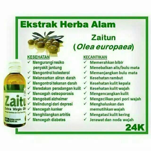 Minyak zaitun mengandung omega 3 omega 3 adalah nama populer untuk minyak ikan yang mengandung campuran eicosapentanoid acid ( epa ) dan decoxahexanoid acid ( dha ) berasal dari ekstrak jaringan lemak ikan jenis mackerel, herring, sardine. 39+ Manfaat Minyak Zaitun Hpai