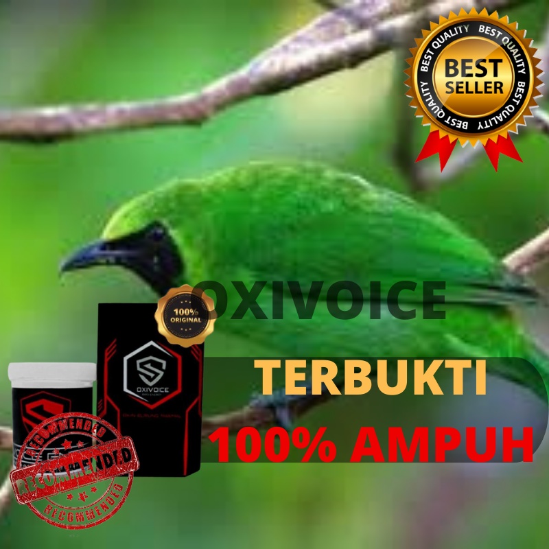 Jual Obat Serak Burung Murai Batu Kenari Kacer Cucak Ijo Indonesia|Shopee  Indonesia