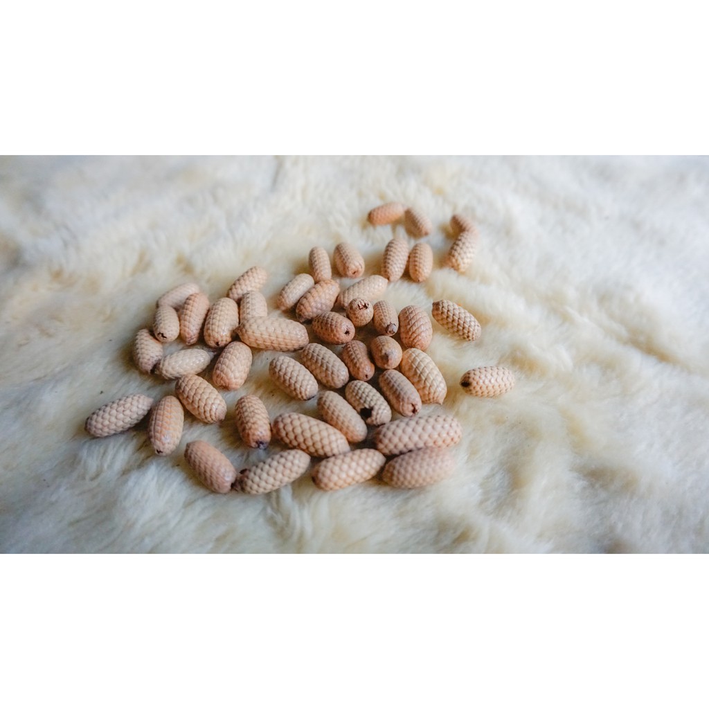 Jual Biji Rotan Lonjong Kerajinan Biji Bijian/Bahan Kerajinan Bijibijian/Biji Kolase Kerajinan Anak Indonesia|Shopee Indonesia 1024_X_1024_jpg