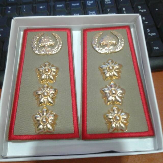 Borneosport Pangkat Asn Sumsel Sumatera Selatan Sulsel Sulawesi Selatan Golongan 3a 3b 3c 3d Lazada Indonesia 