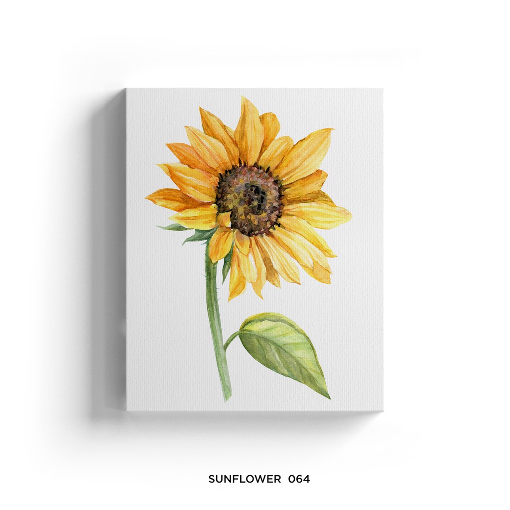 Download Gratis Gambar Pin Oleh Mira Di Art Bunga Matahari Bunga Daisy Tanaman Terkeren oleh www.lampunghits.com
