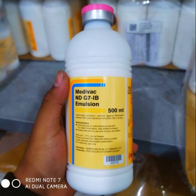 Untuk di shopee, harganya sekitar rp. Vaksin Medivac Nd G7 Ib Emulsion Mencegah Penyakit Nd Infeksi Pernafasan Ngorok Aratan Imunitas Drop Shopee Indonesia
