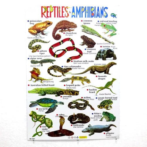 Gratis Download Gambar Gratis Instagramuana Hijau Foto Piqsels Terkeren oleh www.lampunghits.com