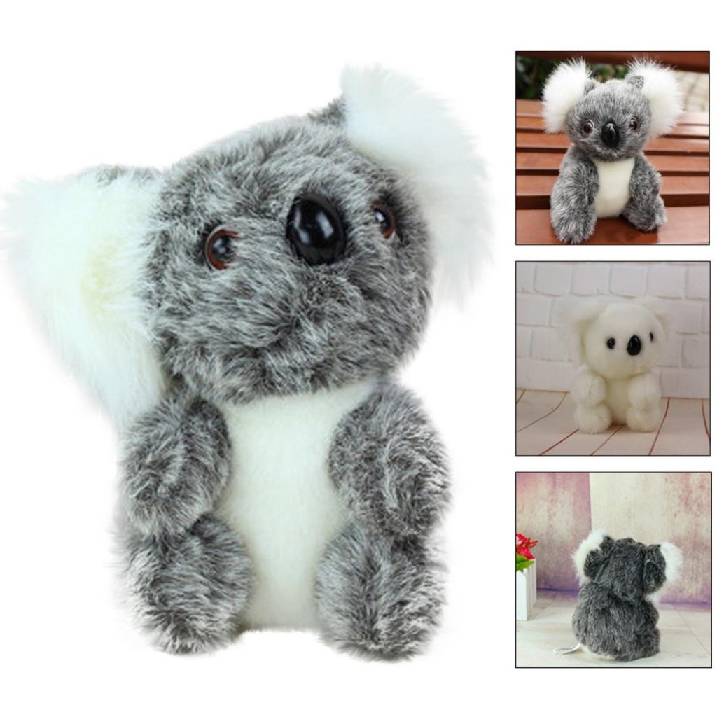 Dapatkan Gambar Jual Boneka Koala Lucu Jakarta Utara Doll Prize Tokopedia Terkeren oleh Lampung Hits