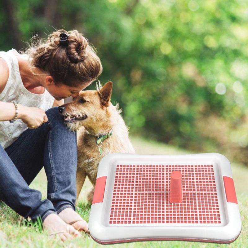 Tatakan Kencing Berak Hewan Anjing Anakan Pet Dog Toilet Training Pee Pad  Underpad Alpha Small | Shopee Indonesia