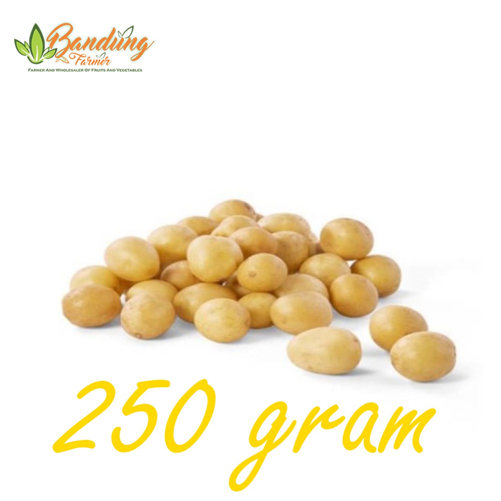 Anda dianjurkan untuk makan dua buah kentang berukuran sedang (210 gram) atau 1,5 . Kentang Rendang 250 Gram Shopee Indonesia