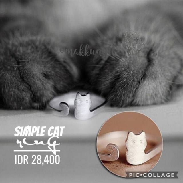 Gratis Download Gambar Wallpaper Animals Whiskers Kitten Black And White Monochrome Terbaru oleh Lampunghits.com