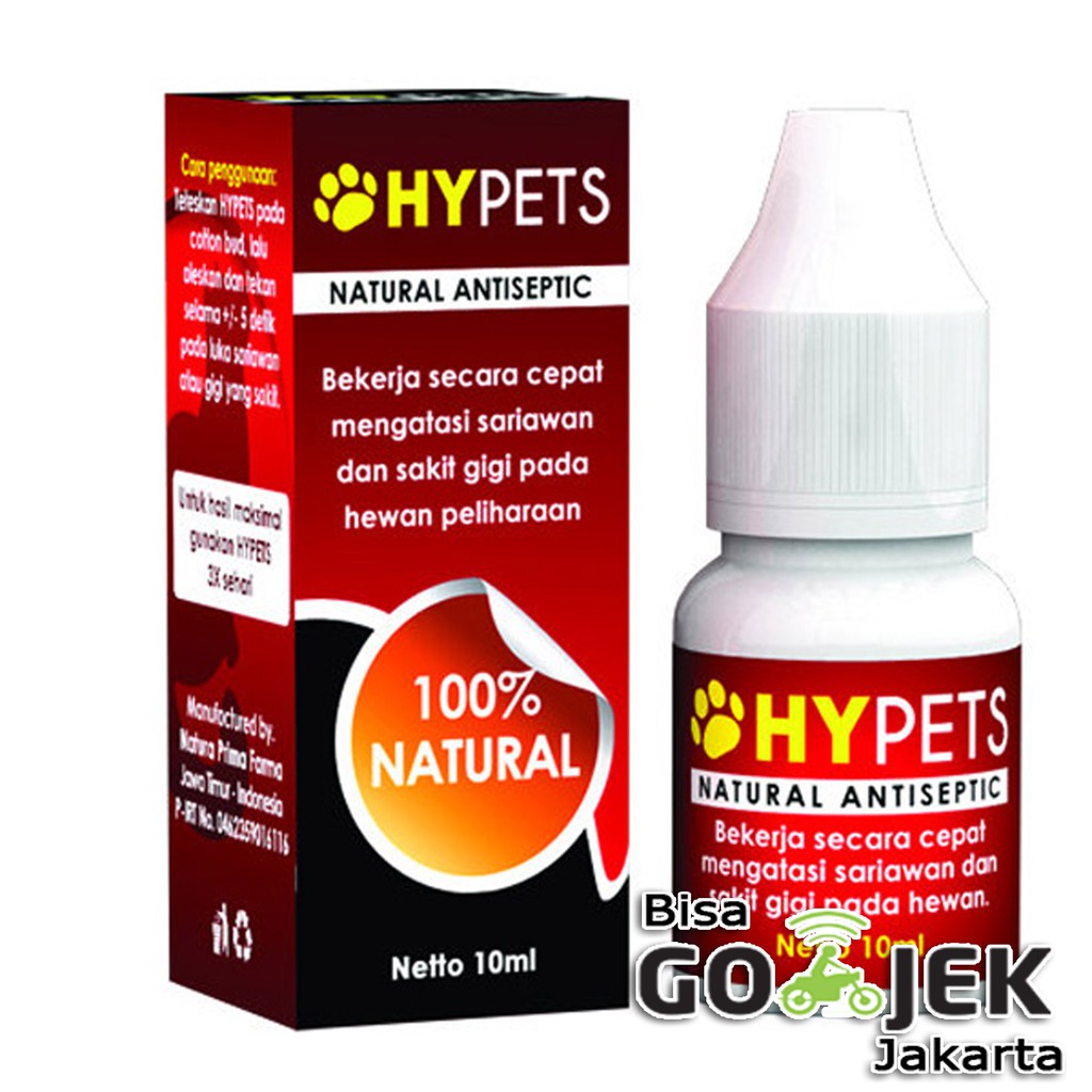 Obat Radang Bau Mulut Kucing Sariawan Sakit Gigi Anjing Hypets
