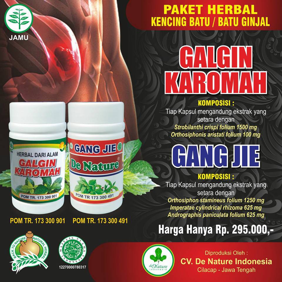Obat Sakit Ginjal Gagal Ginjal Batu Ginjal Kencing Batu