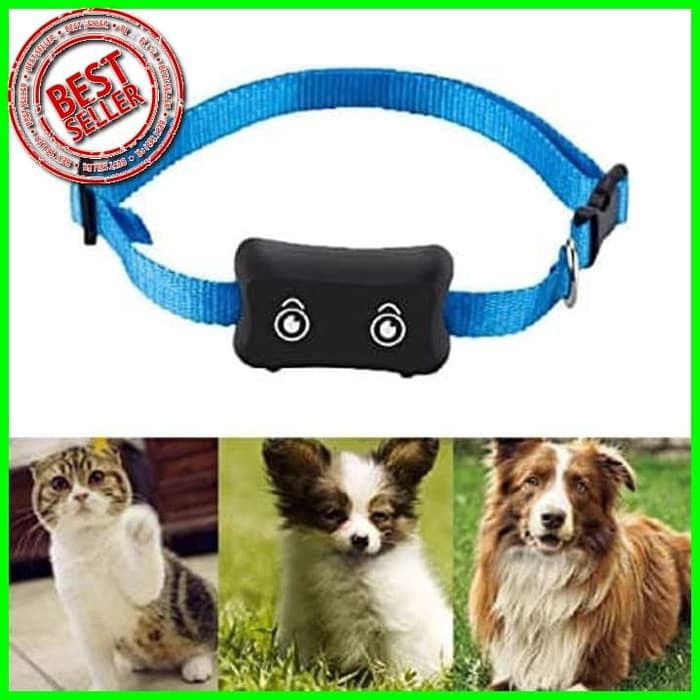 Kalung anjing kucing musang GPS Tracker Segala jenis Hewan Peliharaan  C035506 | Shopee Indonesia