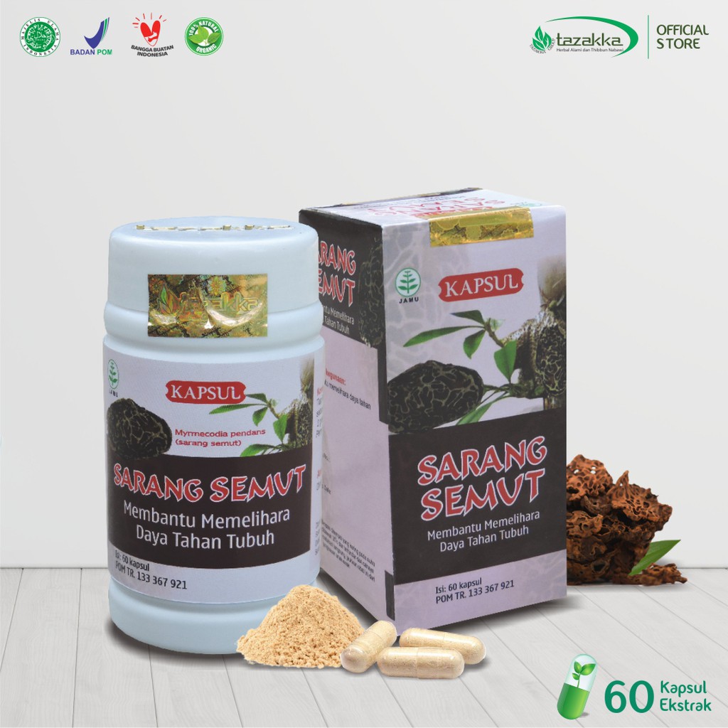 Jual Sarang Semut Papua Asli 60 Kapsul Original Halal BPOM Antioksidan Obat  Kanker Herbal Jantung Indonesia|Shopee Indonesia