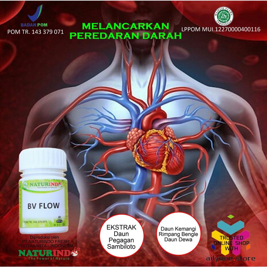 BV FLOW OBAT HERBAL UNTUK PELANCAR MELANCARKAN PEREDARAN DARAH LANCAR  HERBAL KAPSUL | Shopee Indonesia