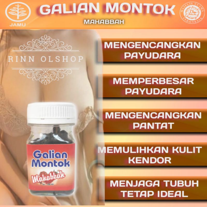 7 sebab setiap wanita mesti cuba. Jual Galian Montok Mahabbah Pengencang Pembesar Payudara Indonesia Shopee Indonesia