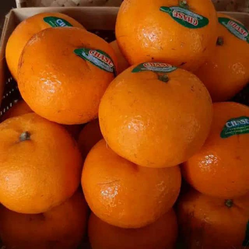 Buah Segar Jeruk Kino Mandarin | Shopee Indonesia
