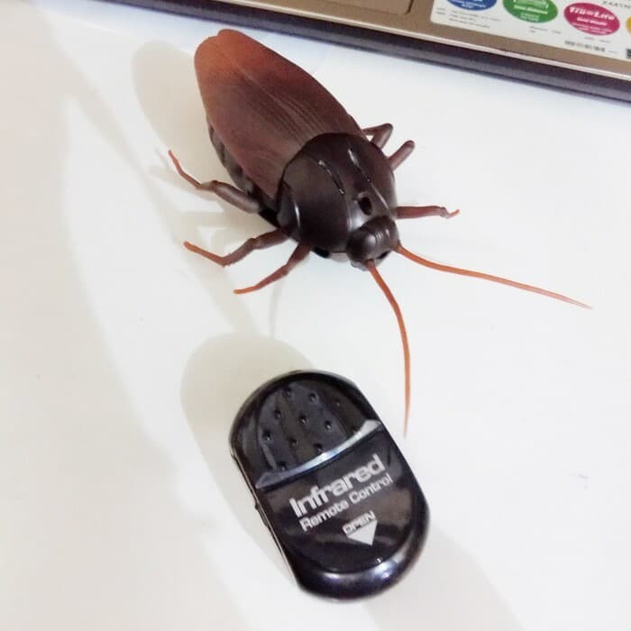 mainan remote control kecoa cockroach untuk prank jahil murah ori shopee indonesia on cockroach in car prank