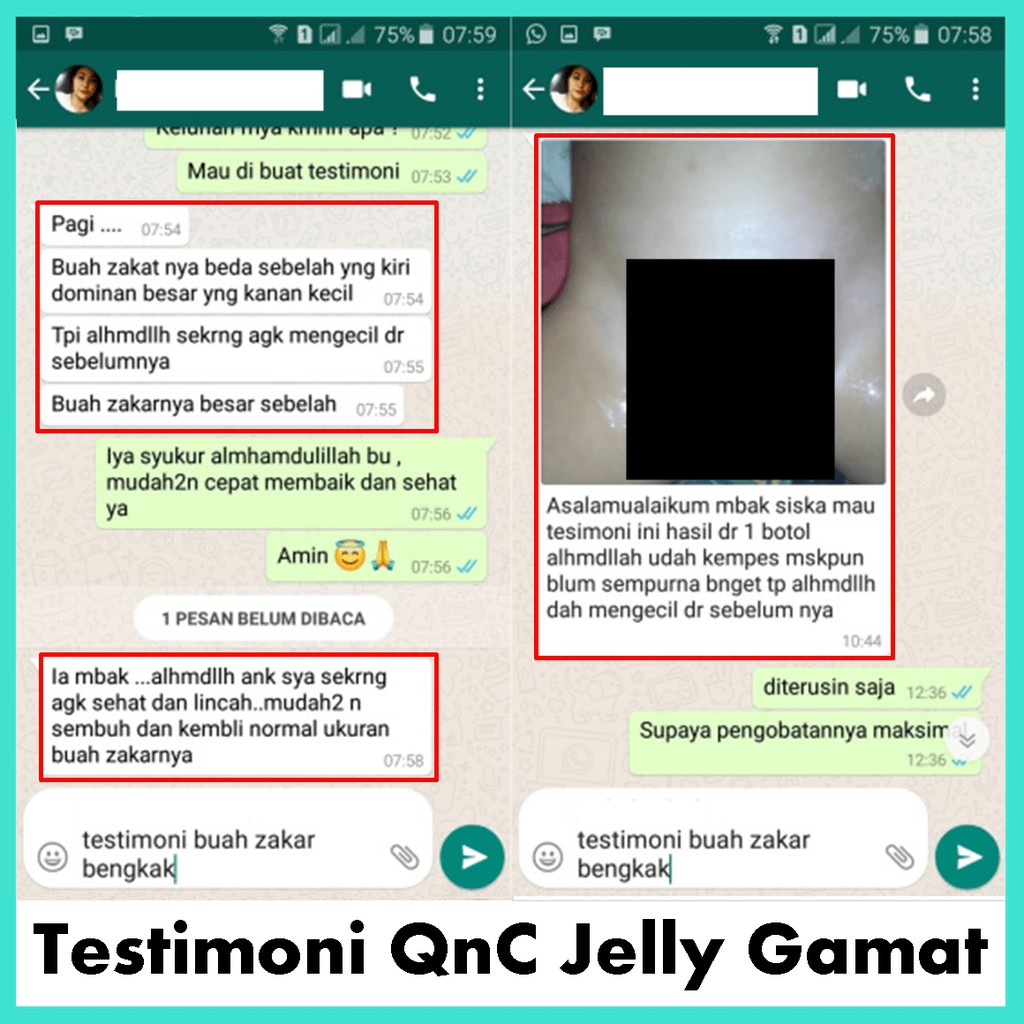 Obat Herbal Varikokel Testis Bengkak Yang Ampuh 100 Alami
