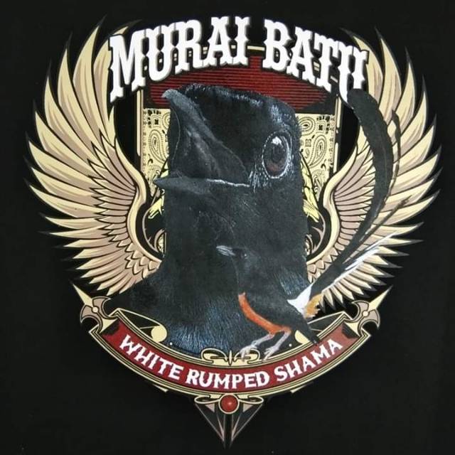 Jual Kaos Burung Murai Batu Hitam New Lengan Panjang Cotton Combed 24S Indonesia|Shopee Indonesia 640_X_640_jpg