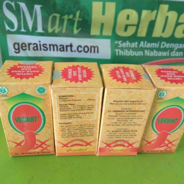 Vermint Isi 30 Kapsul Ekstrak Cacing Tanah Obat Tifus Tipes Typus