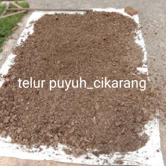 1kg Pupuk kandang kotoran puyuh murni | Shopee Indonesia