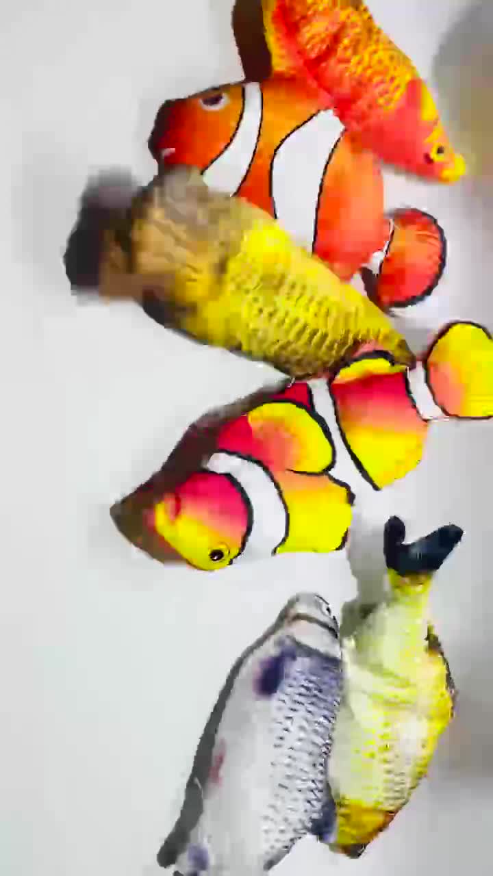 Jual mainan ikan gerak