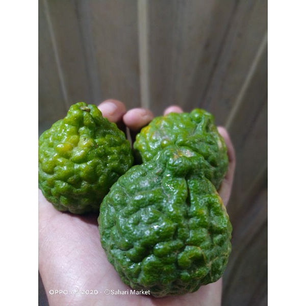 Harga Jeruk Purut 1kg Terbaru Agustus 2021 | BigGo Indonesia