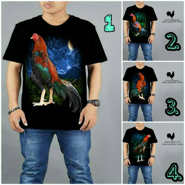 Gratis Download Gambar Cara Ternak Ayam Bangkok Dengan Benar Panduan Beternak Terupdate oleh Lampunghits.com
