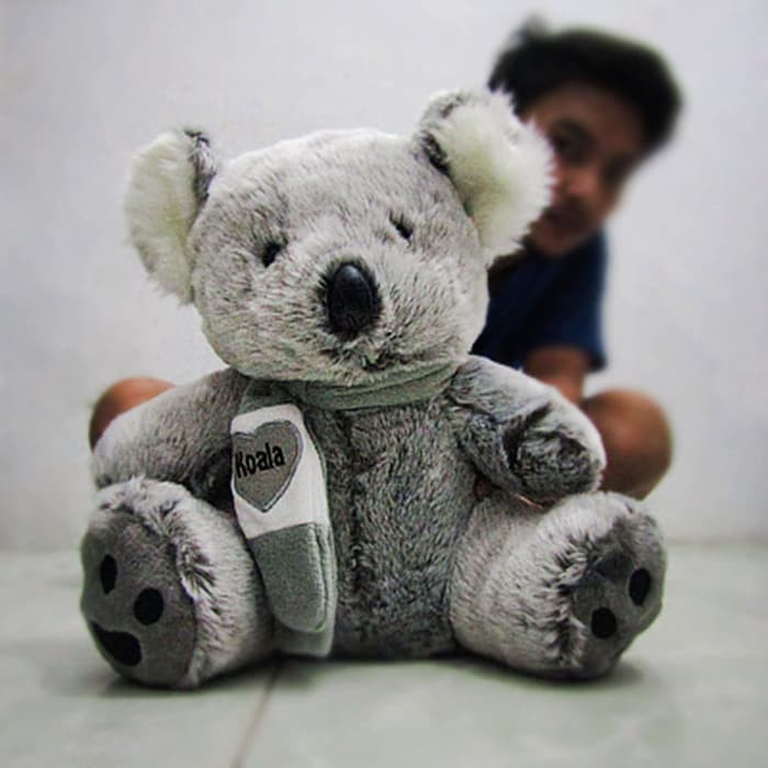 Unduh Gratis Gambar Boneka Koala Lucu Terupdate by www.lampunghits.com