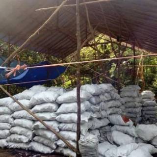 Jual arang kayu alaban halaban wood charcoal ( 1 kg)