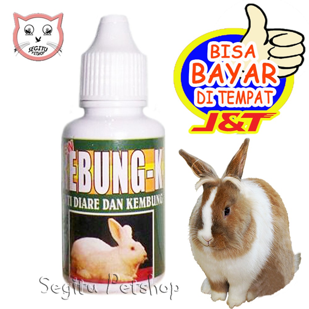 OBAT MENCRET KELINCI DIARE KEMBUNG REBUNG K | Shopee Indonesia