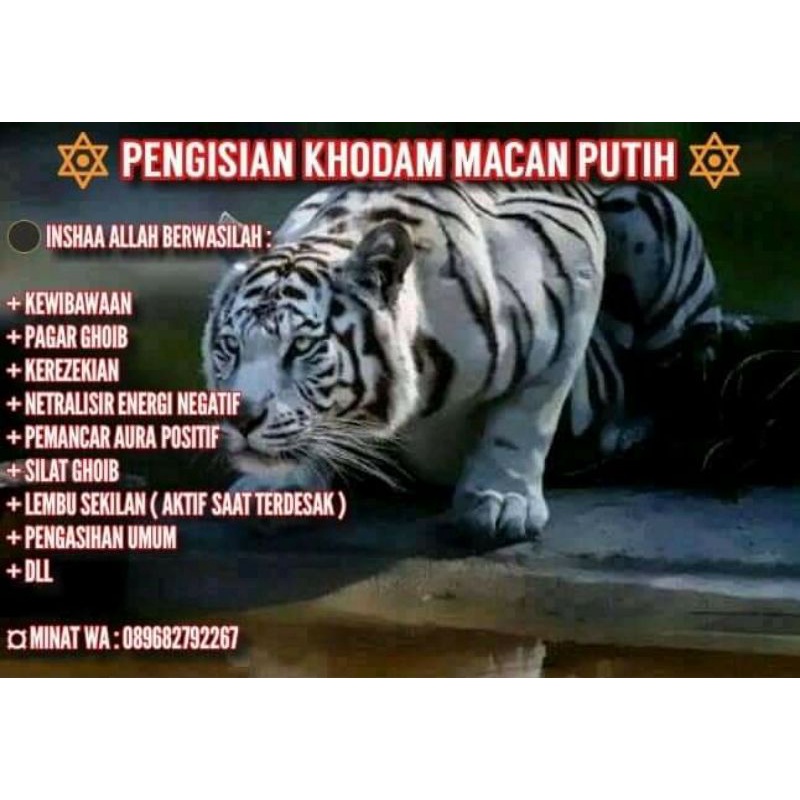 Cek pengisian khodam macan putih ori atau pengisian khodam macan . Harga Khodam Pendamping Macan Terbaru September 2021 Biggo Indonesia