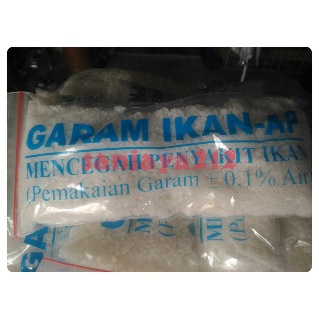 Garam ikan harga terjangkau