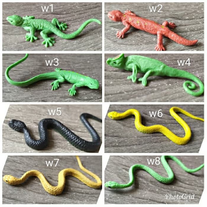 Gratis Unduh Gambar Apa Saja Peranan Reptilia Bagi Kehidupan Ekor9 Gambar Gratis Ekor9 Gambar Gratis Terbaru by Lampung Hits