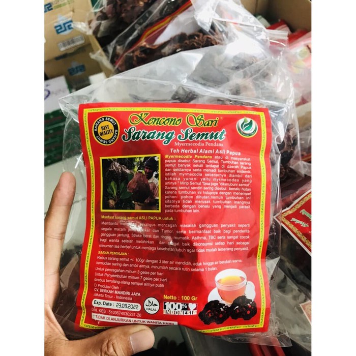 Jual SARANG SEMUT PAPUA / SARANG SEMUT 100 GRAM KENCONO SARI ORIGINAL  Indonesia|Shopee Indonesia