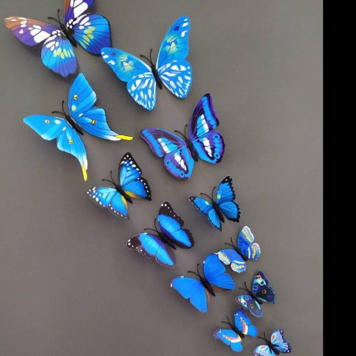 12pcs pvc 3d butterfly butterflies wall stickers decor blue. Harga 3d Sticker Wallpaper Butterfly Terbaru Juli 2021 Biggo Indonesia