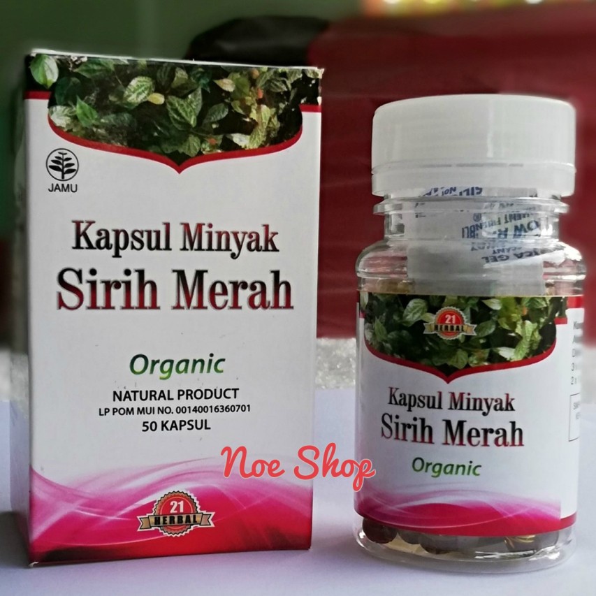 Kapsul Minyak Sirih Merah Terapi Batu Ginjal Stroke Diabetes