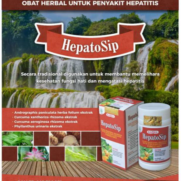 Original Obat Hepatitis Gangguan Fungsi Hati Lever Dengan